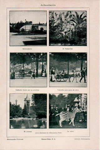 LAMINA V13521: Jardin Zoologico de Aclimatizacion de Paris