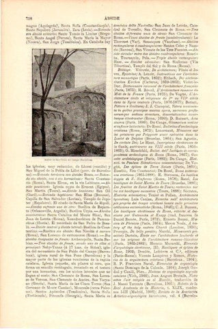 LAMINA V13463: Abside de San Pau del Campo, Barcelona