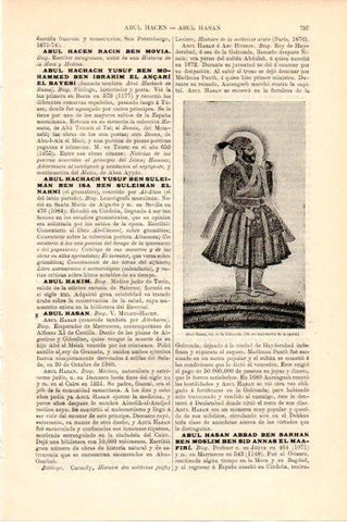 LAMINA V13469: Abul Hasan rey de la Golconda