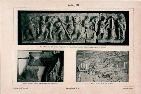 LAMINA V13494: Fabricacion de aceite