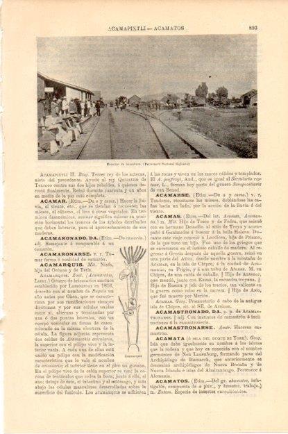 LAMINA V13482: Estacion de Acambaro, Mejico