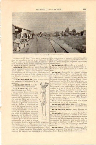 LAMINA V13482: Estacion de Acambaro, Mejico