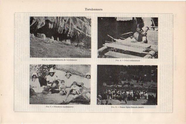 LAMINA V13186: Tarahumara