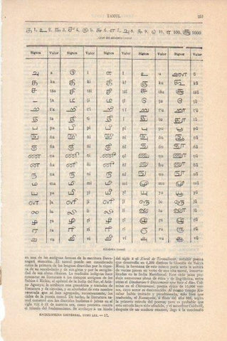 LAMINA V13127: Alfabeto tamul