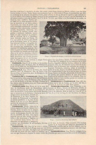 LAMINA V13132:  Casas da la colonia europea en Tanga, Tanzania