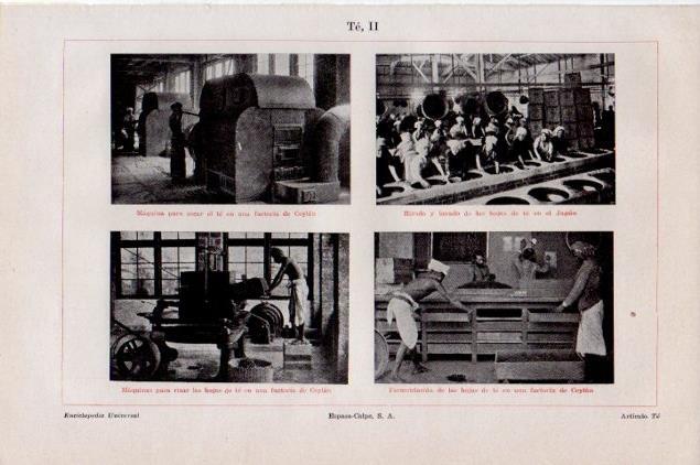 LAMINA V13269: Fabrica de te en Ceylan y Japon