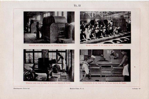 LAMINA V13269: Fabrica de te en Ceylan y Japon