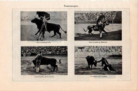 LAMINA V13246: Tauromaquia pase de pecho y pase natural