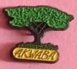 Varios E00389: Pin Akwaba