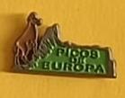 Varios E00316: Pin Picos de Europa