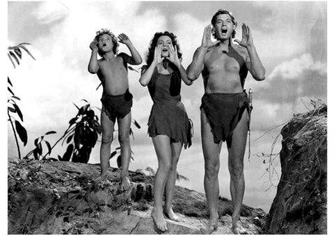 Poster DIN 4 numero 0790: Tarzan (Johnny Weissmüller) modelo 16