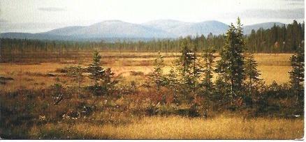 POSTAL L04518: Otoño en Finlandia