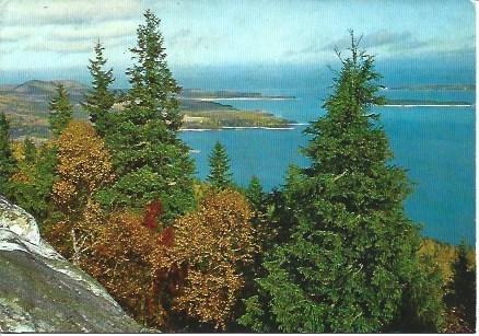 POSTAL L04514: Bosque en Finlandia