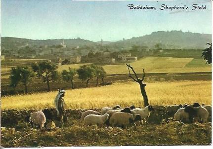 POSTAL L04629: Vista general de Belen