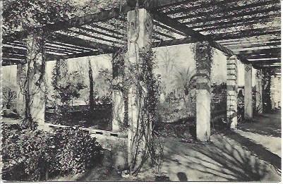 POSTAL L04673: Paseo de los Cipreses en el parque de Maria Luisa de Sevilla