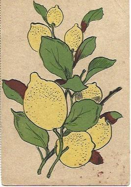 POSTAL L04624: Limones