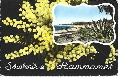 POSTAL L04317: Playa de Hammamet, Tunez