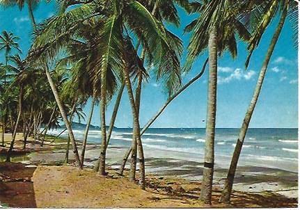 POSTAL L04322: Isla de Margarita, Venezuela