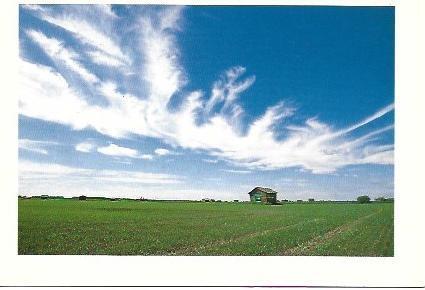 POSTAL L04408: Vista de Alajoli, Finlandia