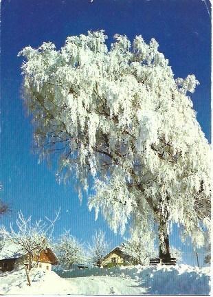 POSTAL L04391: Invierno en Attenham
