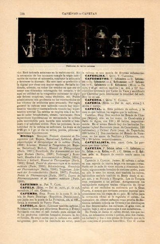 LAMINA V16712: Cafeteras de varios sistemas