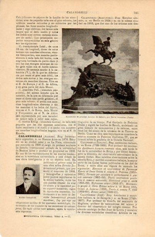 LAMINA V16742: Monumento al principe Amadeo de Saboya en Turin