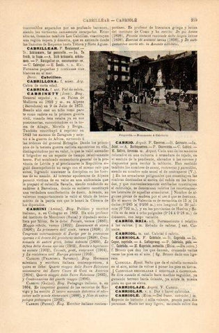 LAMINA V16676: Monumento a Cabrinety en Puigcerda