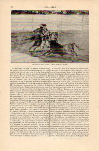 LAMINA V16639: Caballero en plaza por Goya