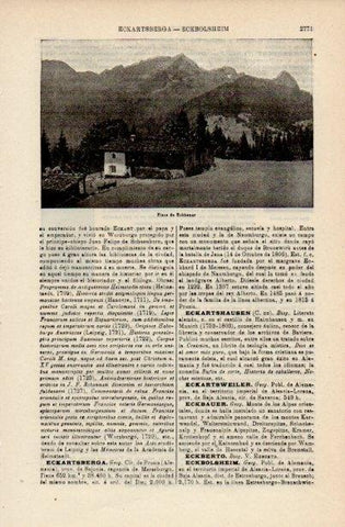 LAMINA V16621: Picos de Eackbauer