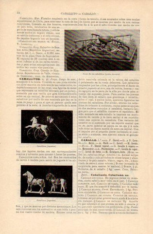 LAMINA V16640: Juego de los caballitos