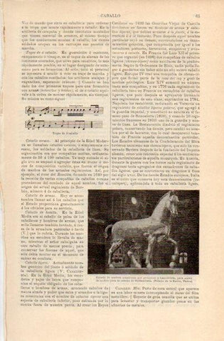 LAMINA V16642: Caballo de madera del Palacio de la Razon en Padua