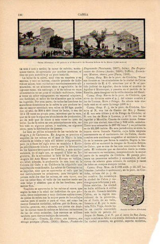 LAMINA V16669: Palacio y Santuario en Cabra, Cordoba