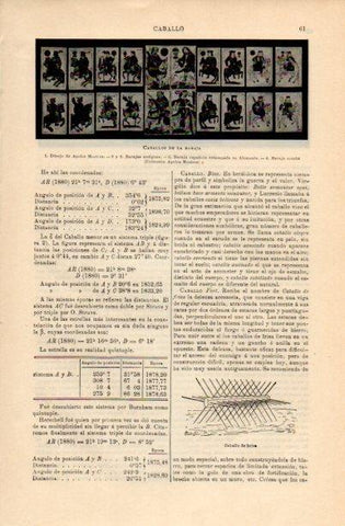 LAMINA V16641: Caballos de la baraja