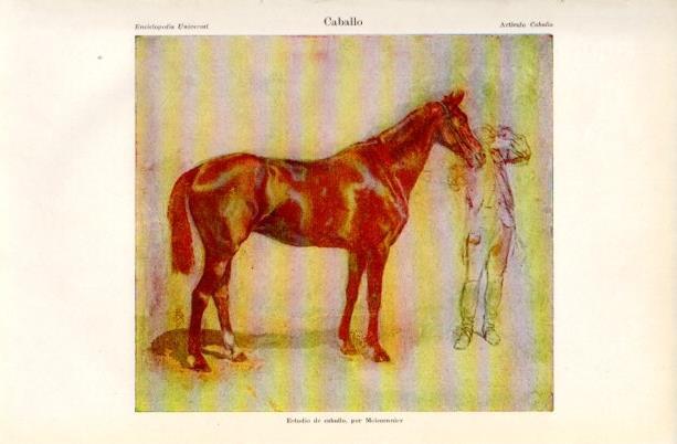 LAMINA V16649: Estudio del caballo por Meissonnier