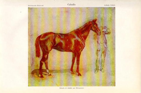 LAMINA V16649: Estudio del caballo por Meissonnier