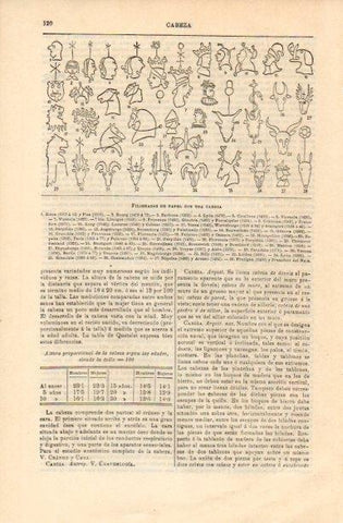LAMINA V16651: Filigranas de papel con una cabeza