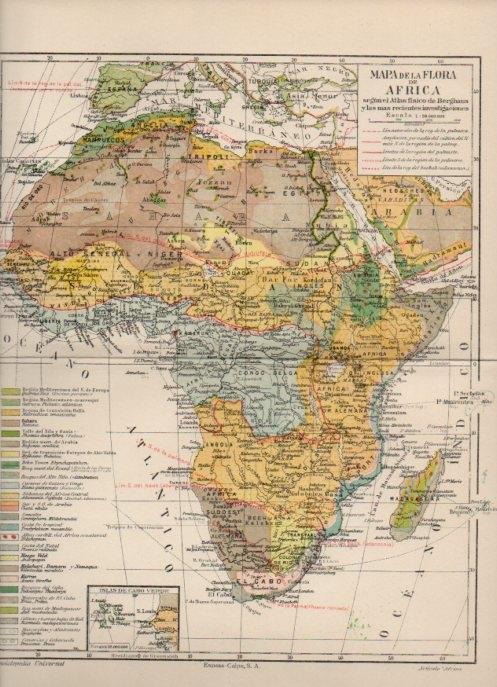 LAMINA V16870: Mapa de la flora de Africa