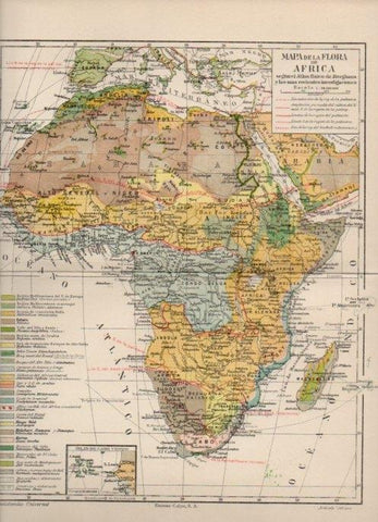 LAMINA V16870: Mapa de la flora de Africa
