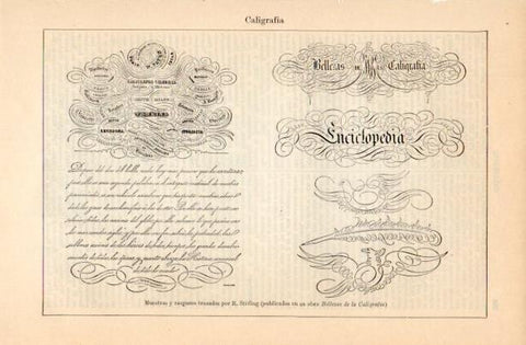 LAMINA V16771: Muestras y rasgueos trazados por R. Stirling