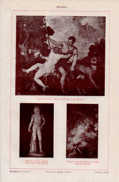 LAMINA V16392: Venus y Adonis por Tiziano
