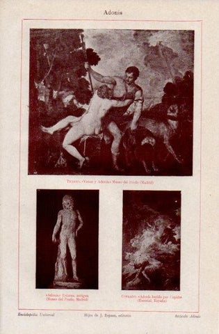 LAMINA V16392: Venus y Adonis por Tiziano