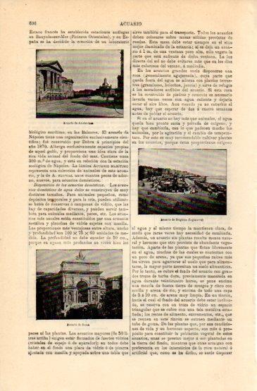 LAMINA V16338: Acuarios de Amsterdam y Roma