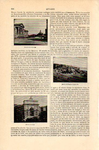 LAMINA V16338: Acuarios de Amsterdam y Roma