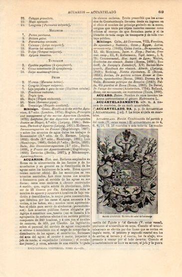 LAMINA V16340: Escudo acuartelado del señor de Luneburgo