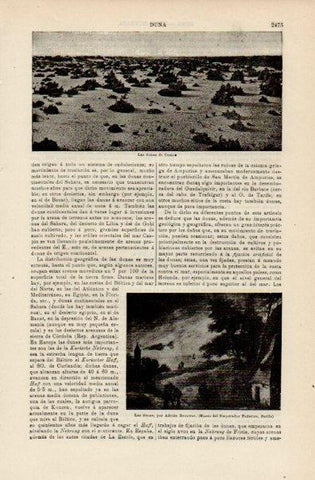 LAMINA V16553: Las dunas por A. Browner