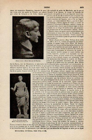 LAMINA V16530: Busto de Druso el Joven