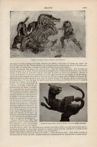 LAMINA V16515: Sigfrido y el leon por Adolfo Menzel