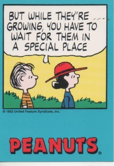 Cromo E003334: Trading Card. Peanuts Classics, nº 78 June 12, 1979