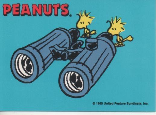 Cromo E003358: Trading Card. Peanuts Classics, nº 110 April 16, 1989