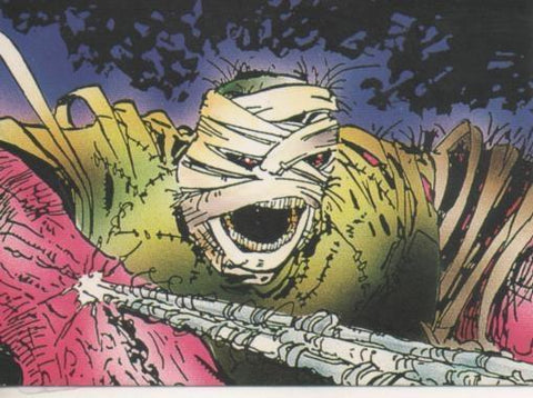Cromo E003261: Trading Card. The Savage Dragon, nº 60 Spun